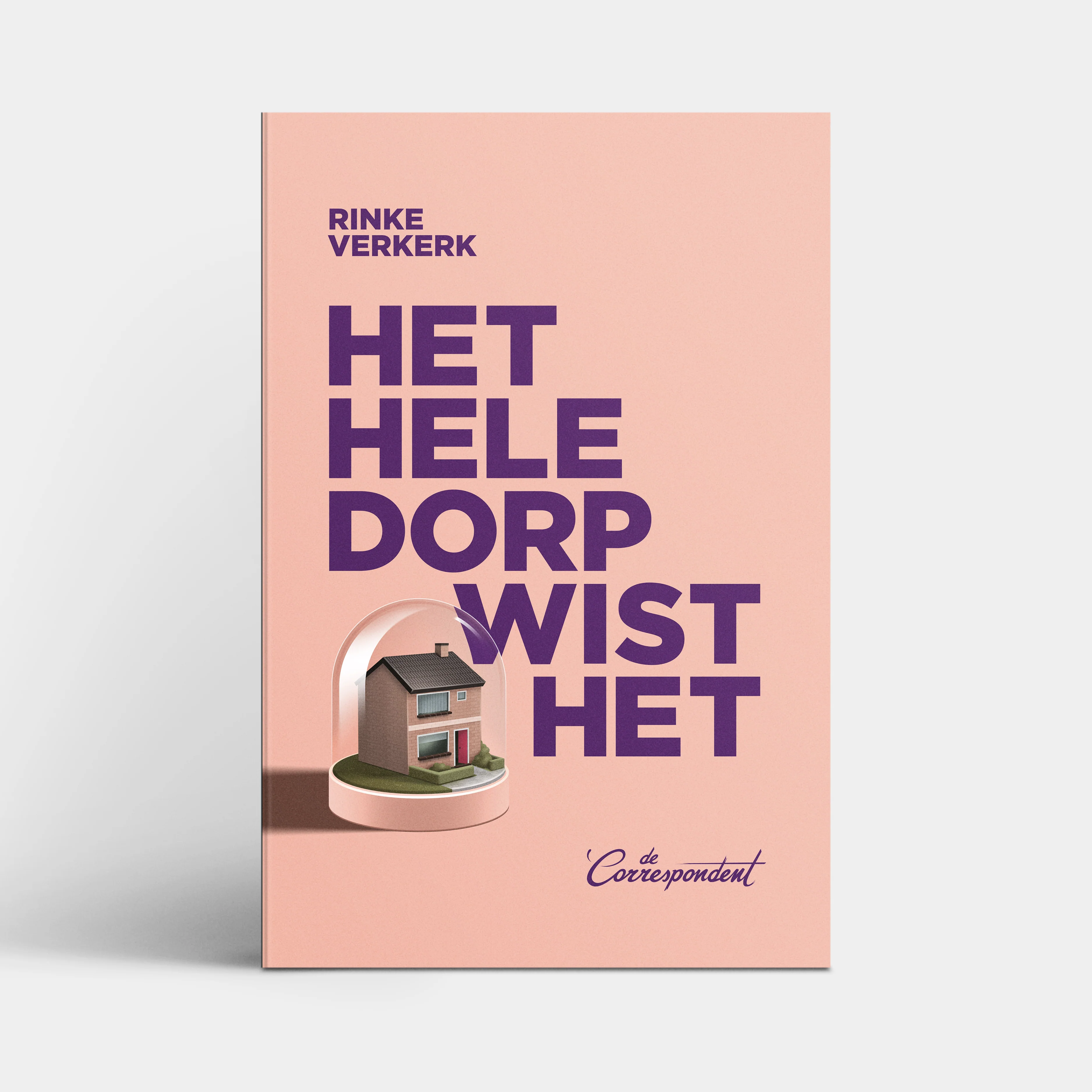 Het hele dorp wist het - Rinke Verkerk